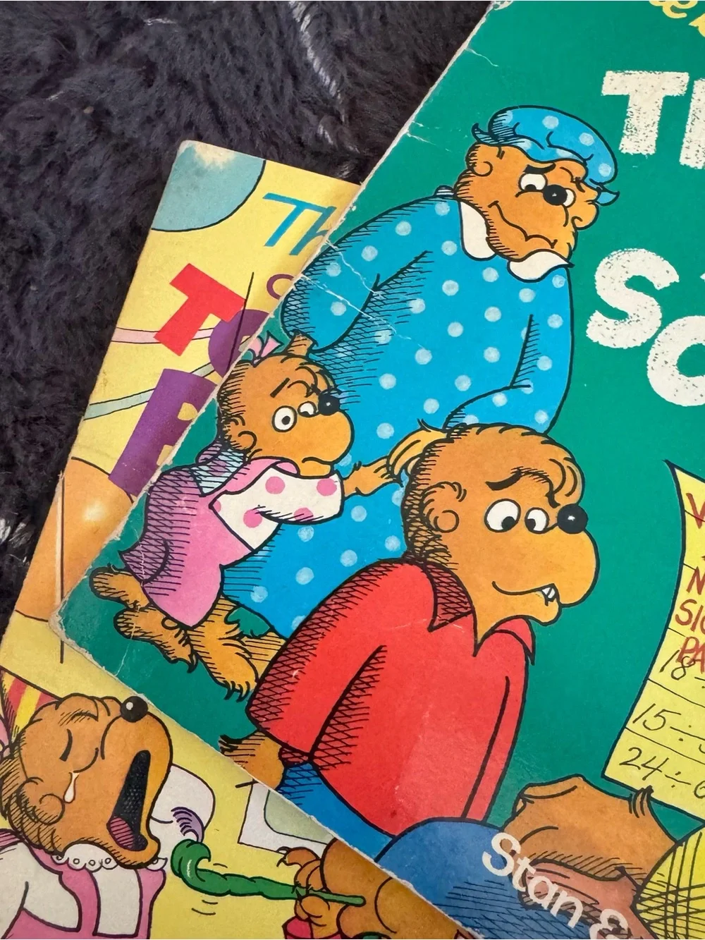 1980s The Berenstain Bears Book Pair Vintage Kid’s Paperback